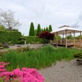 Koi-Zen-Garten 1
